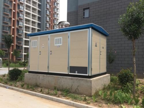 友谊SCB10-250KVA箱式变